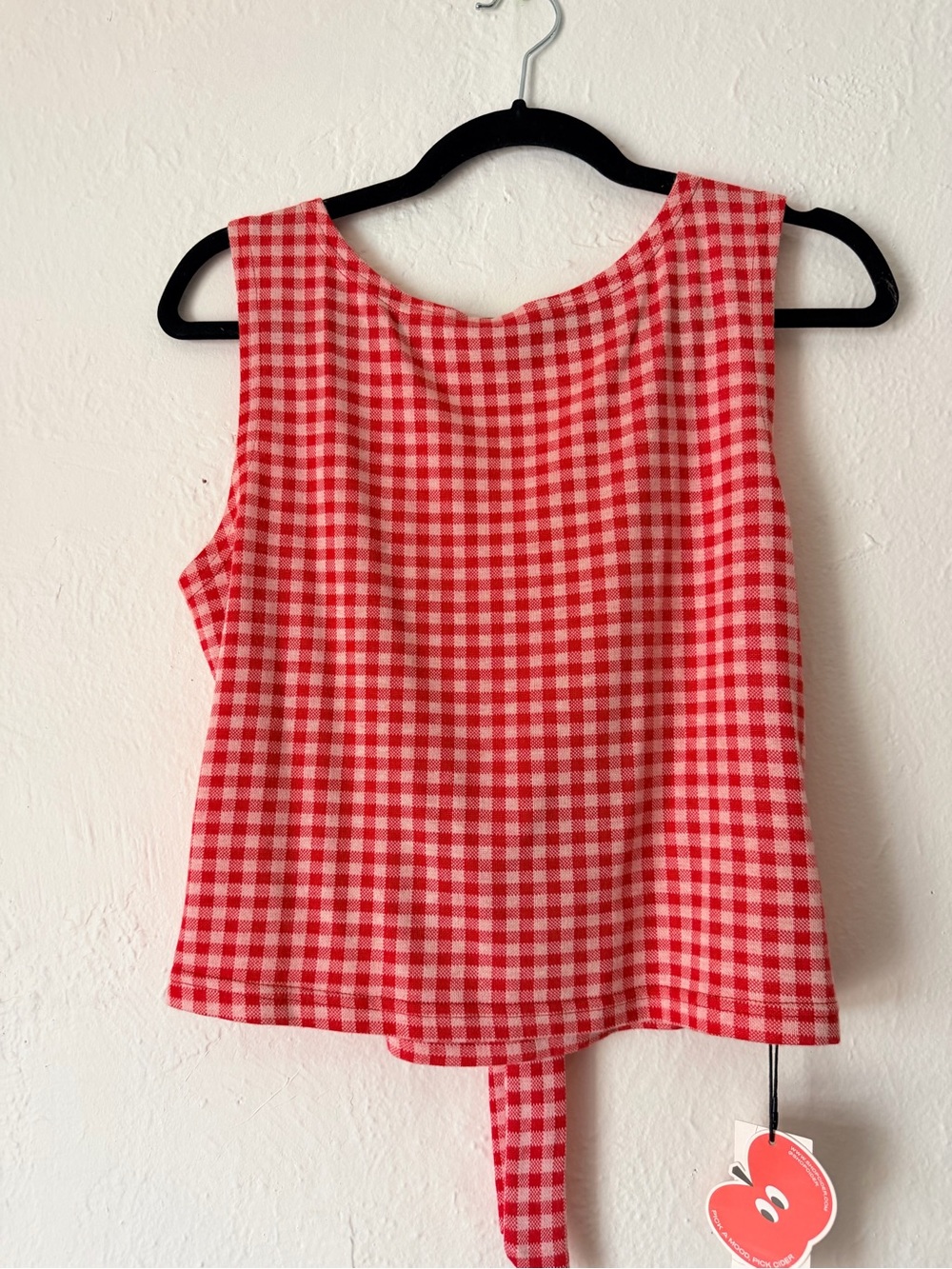 Cider Red and White Gingham Cropped Tank with Back Tie